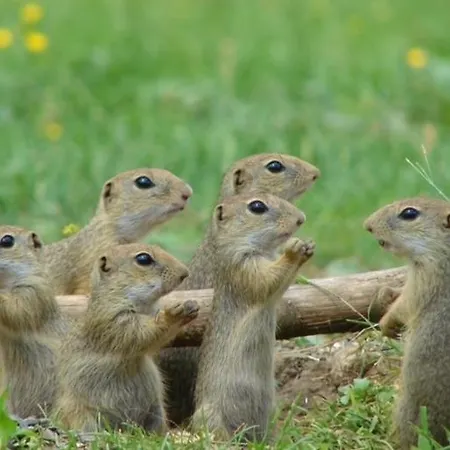 Jana Prázdninový dům Muran