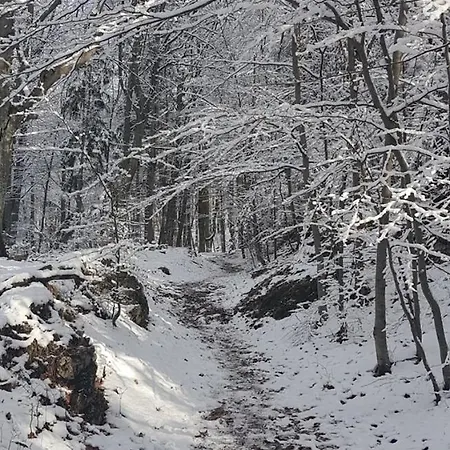 Jana Prázdninový dům