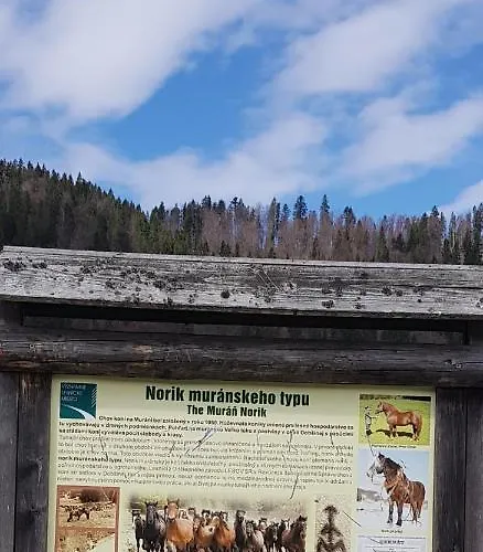 Casa de Férias Jana