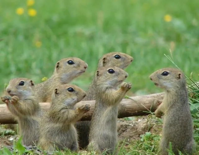 Jana Casa de Férias Muran